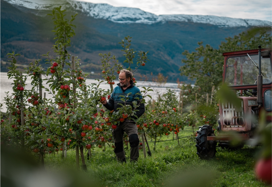 Bilde av arbeider hos Gardspresseriet